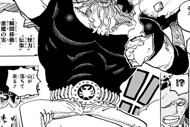 Slim (Panda), One Piece Wiki