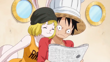 Carrot And Luffy