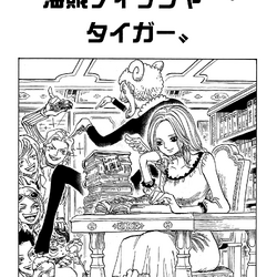 Comic One Piece #63 | HLJ.com