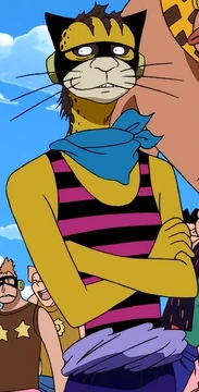Chiqicheetah | One Piece Wiki | Fandom