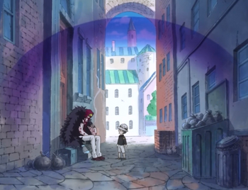 Ami Ami no Mi, One Piece Wiki