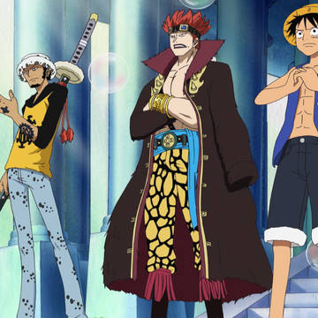 Pirate Captain One Piece Wiki Fandom