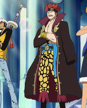 one piece wiki fandom