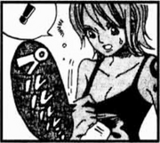 SBS39 5 Nami's Secret Compartment