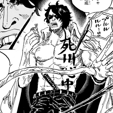 Aramaki One Piece Wiki Fandom