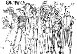 All 'One Piece' Nationalities, Explained