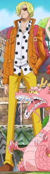 Sanji/Gallery, One Piece Wiki, Fandom