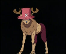 Tony Tony Chopper/Habilidades y poderes, One Piece Wiki