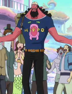 Fisher Tiger One Piece Wiki Italia Fandom Fisher Tiger One Piece Wiki Italia Fandom