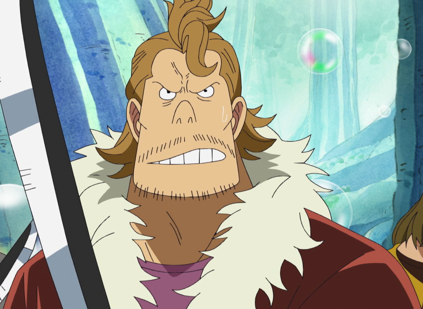 Bounty Hunter, One Piece Wiki