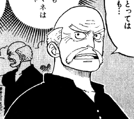 Manga pre-timeskip