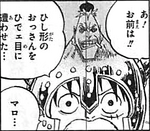 Sbs Volume 73 One Piece Wiki Fandom Sbs Volume 73 One Piece Wiki Fandom