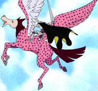 Pierre One Piece Wiki Fandom
