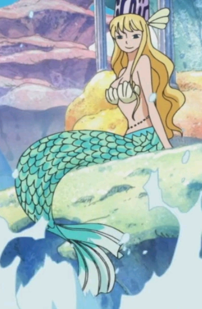 Sora One Piece Wiki Fandom