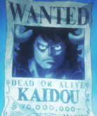 Kaidou's First Wanted Poster