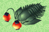 Lantern Trilobite
