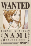 Wanted Poster One Piece Png