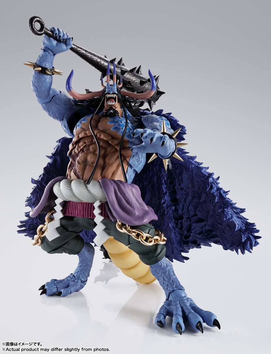 S.H. Figuarts One Piece, One Piece Wiki