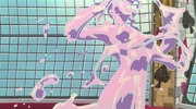 Toro Toro no Mi Anime Infobox