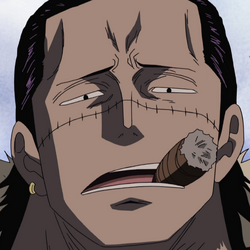 Crocodile One Piece Wiki Fandom