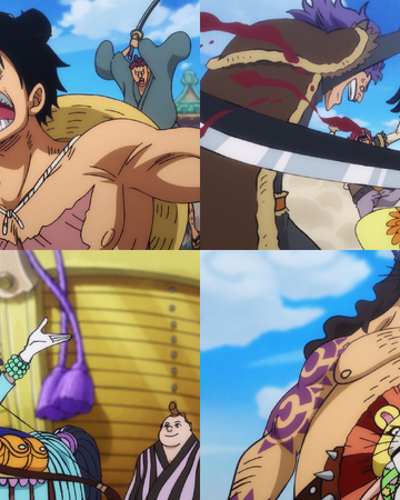 Episodio 904 One Piece Wiki Fandom