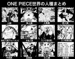 One Piece Wiki Fandom