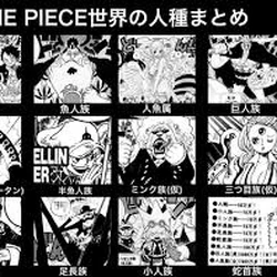 One Piece Wiki Fandom