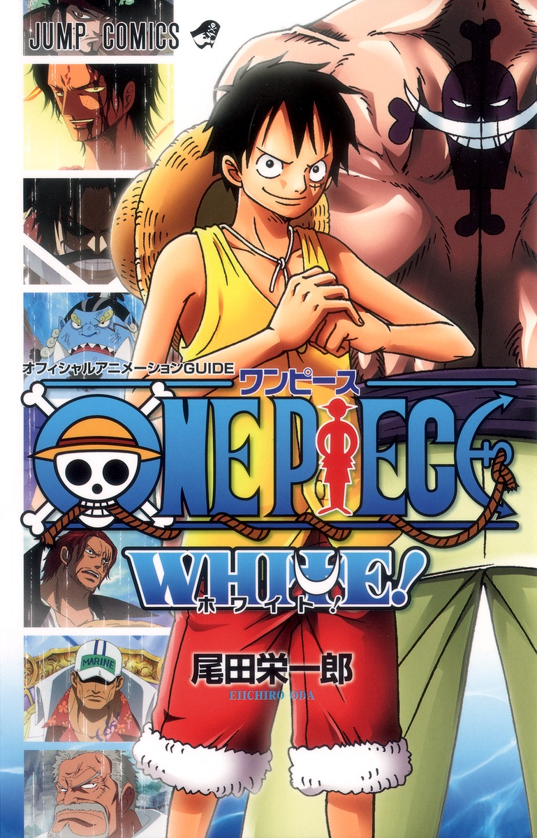 One Piece, Anime Guide