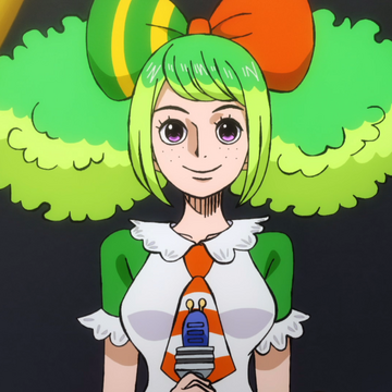 Ann One Piece Wiki Fandom