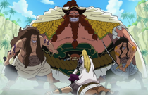 Brownbeard Pirates One Piece Wiki Fandom Brownbeard Pirates One Piece Wiki Fandom