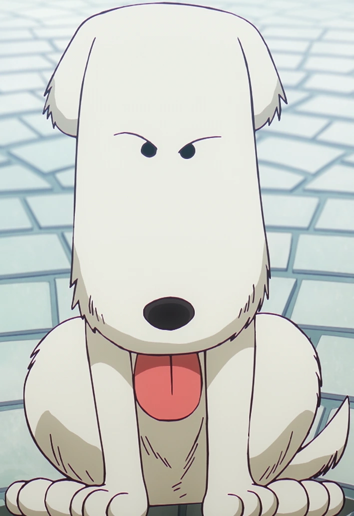 Chouchou | One Piece Wiki | Fandom