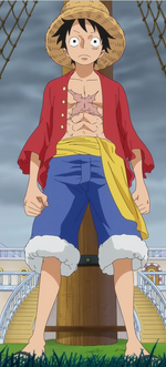 Luffy.