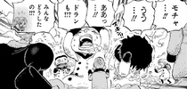 Mocha One Piece Wiki Fandom