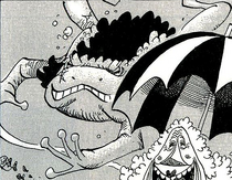 Yokodzuna One Piece Wiki Fandom