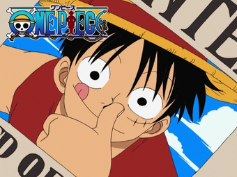 Eyecatchers One Piece Wiki Fandom