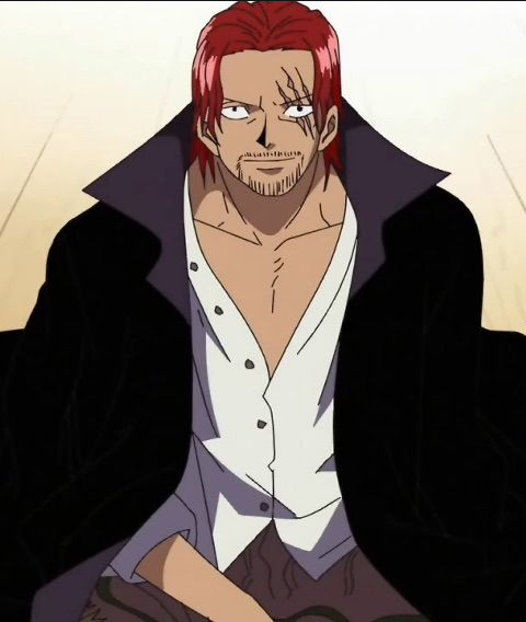 シャンクス One Piece Wiki Fandom