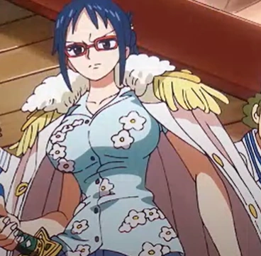 Capitaine One Piece Encyclopedie Fandom