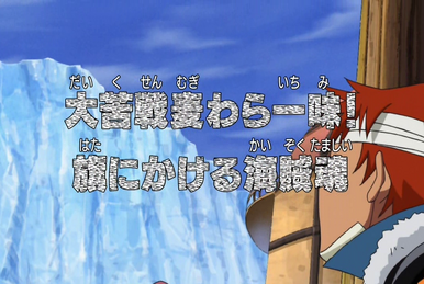 One Piece Episode 333 Recap