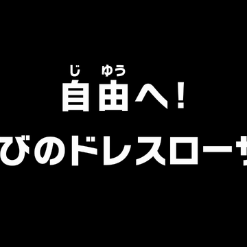 Episode 734 One Piece Wiki Fandom
