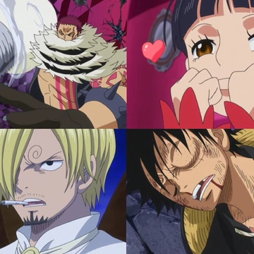 Episodio 867 In Agguato Nell Oscurita Un Assassina Mira Rufy One Piece Wiki Italia Fandom