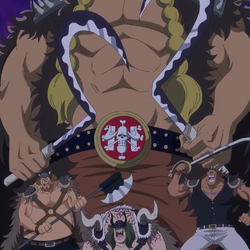 Beasts Pirates, One Piece Wiki