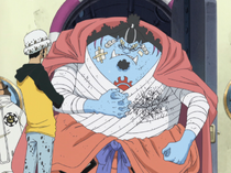 Jinbe After Surgery