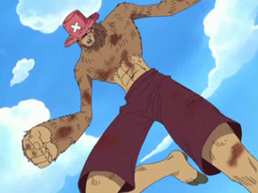 Tony Tony Chopper/Habilidades y poderes, One Piece Wiki