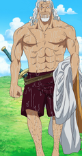 Rayleigh Without a Shirt On