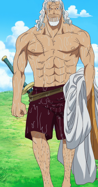 Silvers Rayleigh One Piece Wiki Fandom What are your thoughts on this? silvers rayleigh one piece wiki fandom