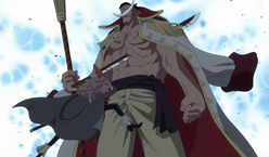 Squard Stabs Whitebeard