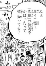 Volume 95 One Piece Wiki Fandom Volume 95 One Piece Wiki Fandom