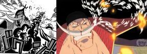 エドワード ニューゲート One Piece Wiki Fandom