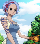 Nojiko, One Piece Wiki