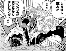 Shirahoshi, Jinbe, and Megalo Bound